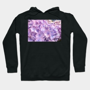 Hydrangea Petals Hoodie